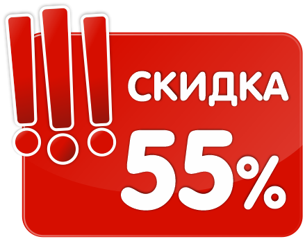 logo 55